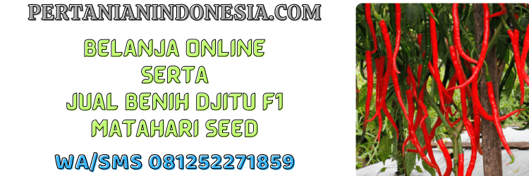 jual,murah,belanja,toko online,pertanian indonesia